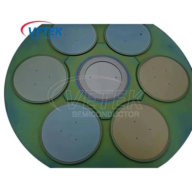 SiC Coating Ald Susceptor