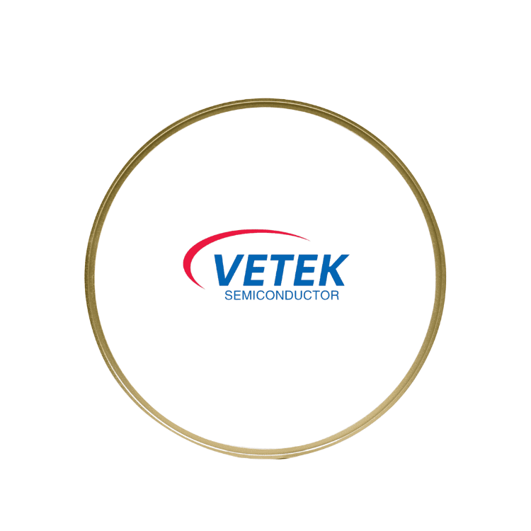 Anel de cobertura de wafer de grafite revestido com TaC